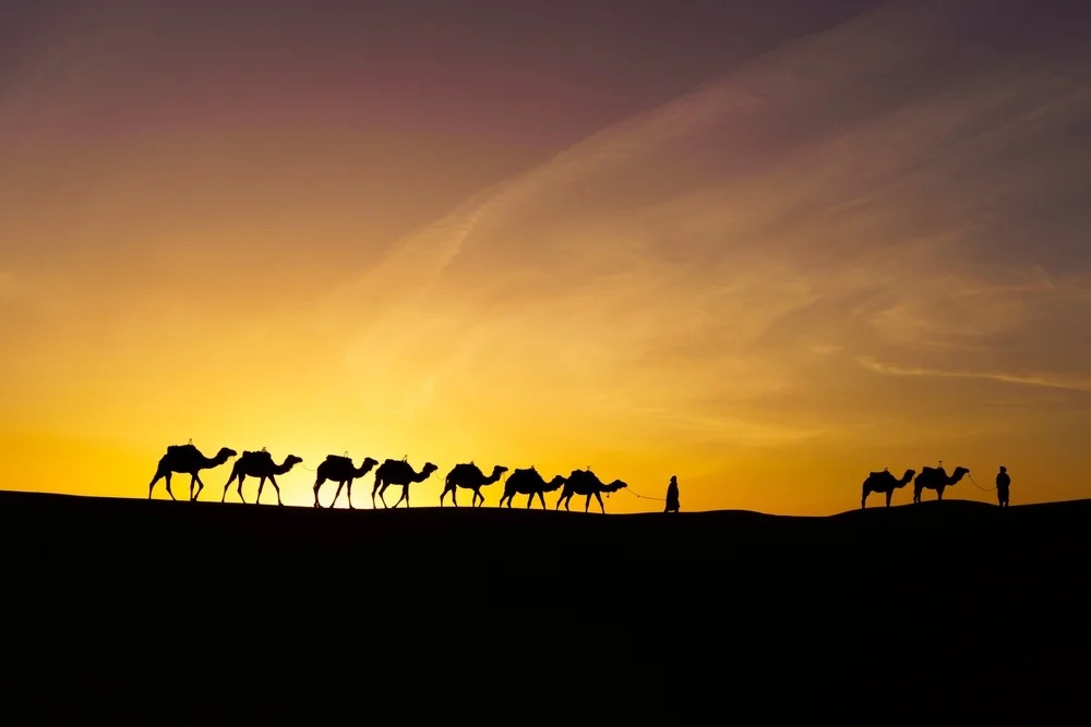 Merzouga - Boumalne Dadès - Ouarzazate : L’Odyssée du Sud